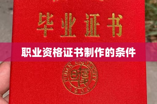 洮北职业资格证书制作的条件
