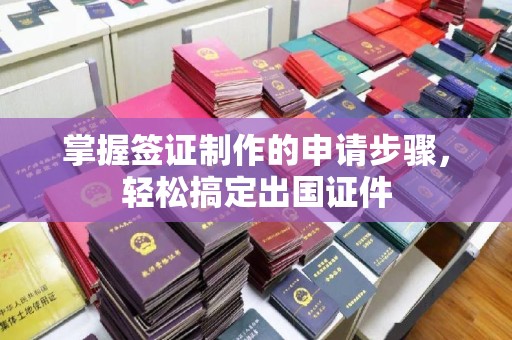 洮北掌握签证制作的申请步骤，轻松搞定出国证件