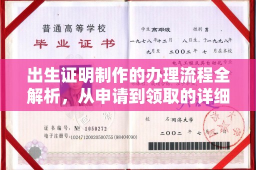 洮北出生证明制作的办理流程全解析，从申请到领取的详细指南