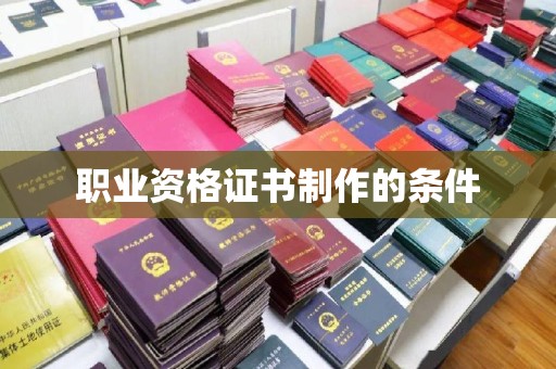 洮北职业资格证书制作的条件