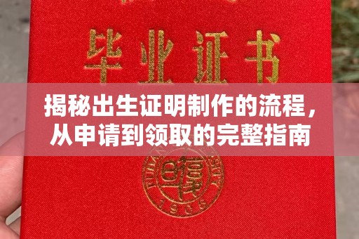 洮北揭秘出生证明制作的流程，从申请到领取的完整指南