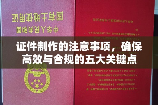 洮北证件制作的注意事项，确保高效与合规的五大关键点
