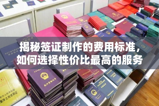 洮北揭秘签证制作的费用标准，如何选择性价比最高的服务？