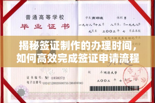 洮北揭秘签证制作的办理时间，如何高效完成签证申请流程