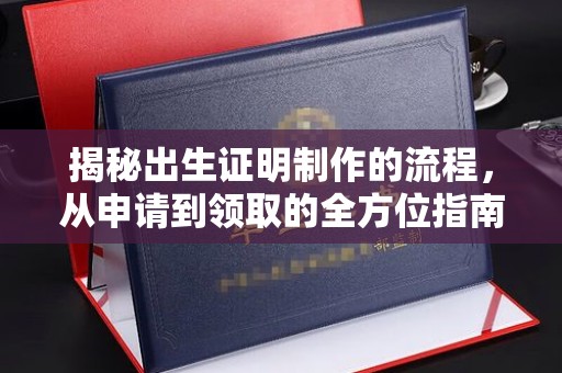 洮北揭秘出生证明制作的流程，从申请到领取的全方位指南