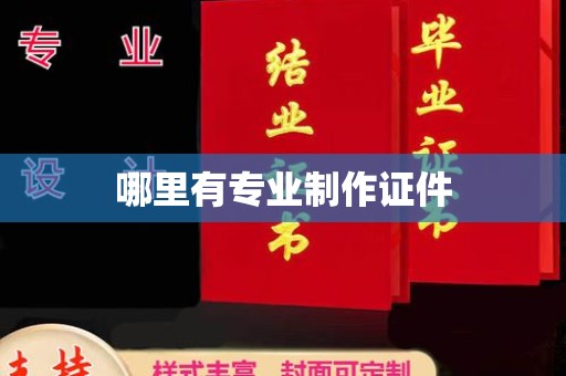 洮北哪里有专业制作证件