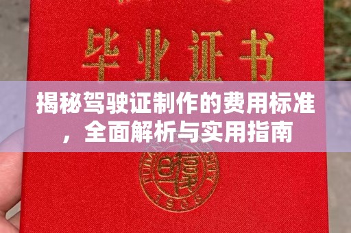 洮北揭秘驾驶证制作的费用标准，全面解析与实用指南