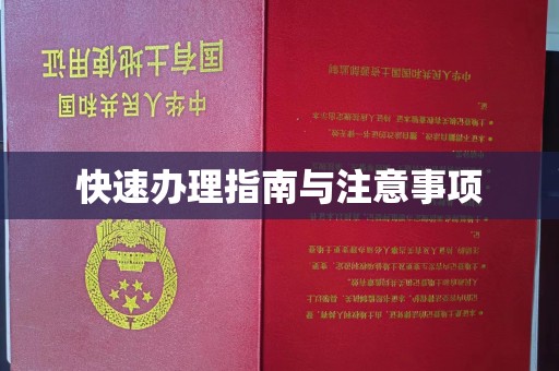 洮北快速办理指南与注意事项