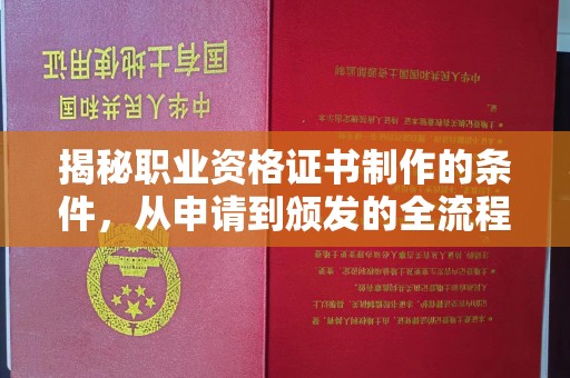 洮北揭秘职业资格证书制作的条件，从申请到颁发的全流程解析